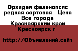 Орхидея фаленопсис редкая сортовая › Цена ­ 800 - Все города  »    . Красноярский край,Красноярск г.